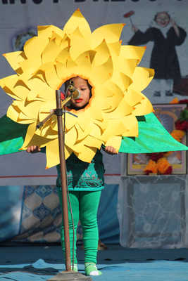 fancy dress comp (14)